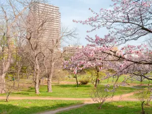 中島公園