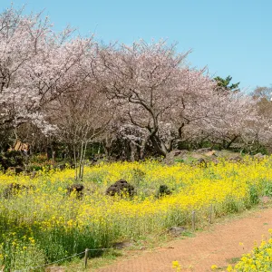 新山公園