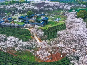 Fenghuanggou