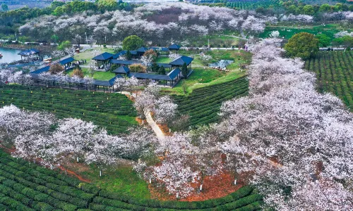 Fenghuanggou