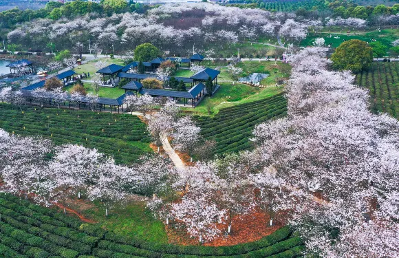鳳凰溝門票學生（大專及中小學生）