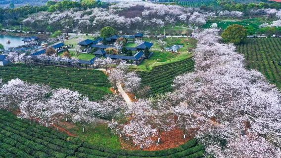 玩水避暑