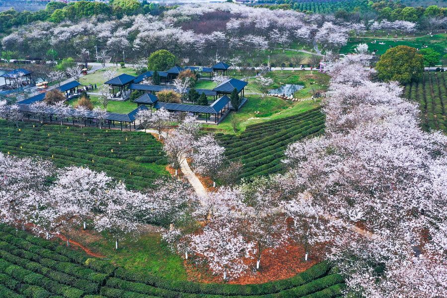 鳳凰溝