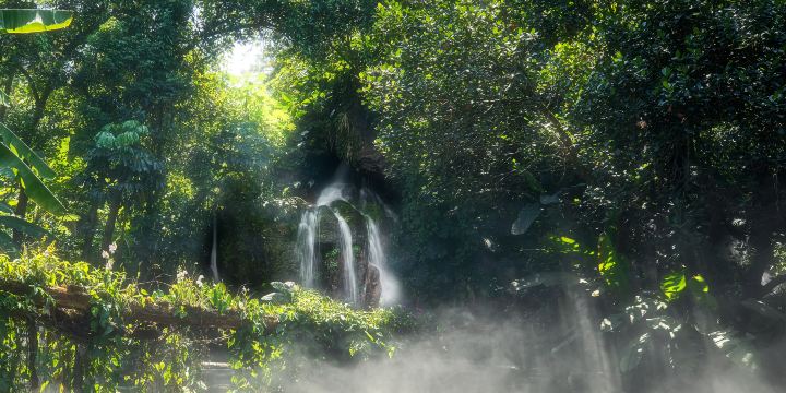 Xiamen Botanical Garden