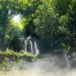 Xiamen Botanical Garden