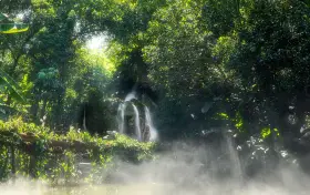 廈門園林植物園