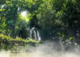 廈門園林植物園