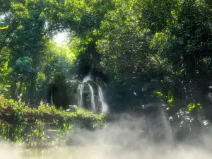 Xiamen Botanical Garden