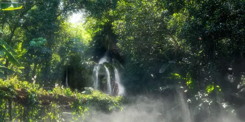 廈門園林植物園