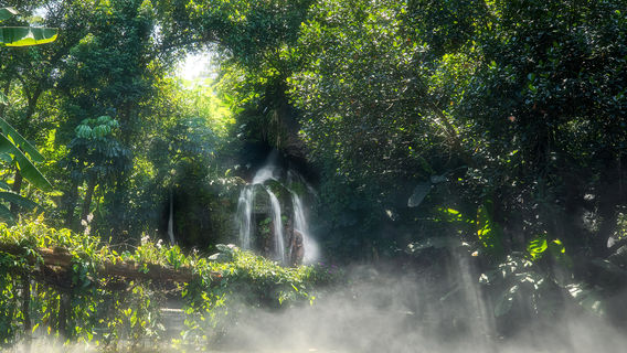 Xiamen Botanical Garden