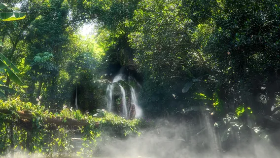 Xiamen Botanical Garden