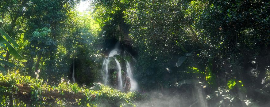 Xiamen Botanical Garden