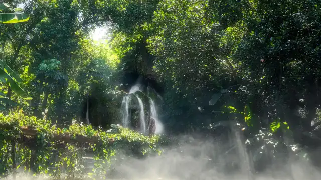 Hotels near Xiamen Botanical Garden