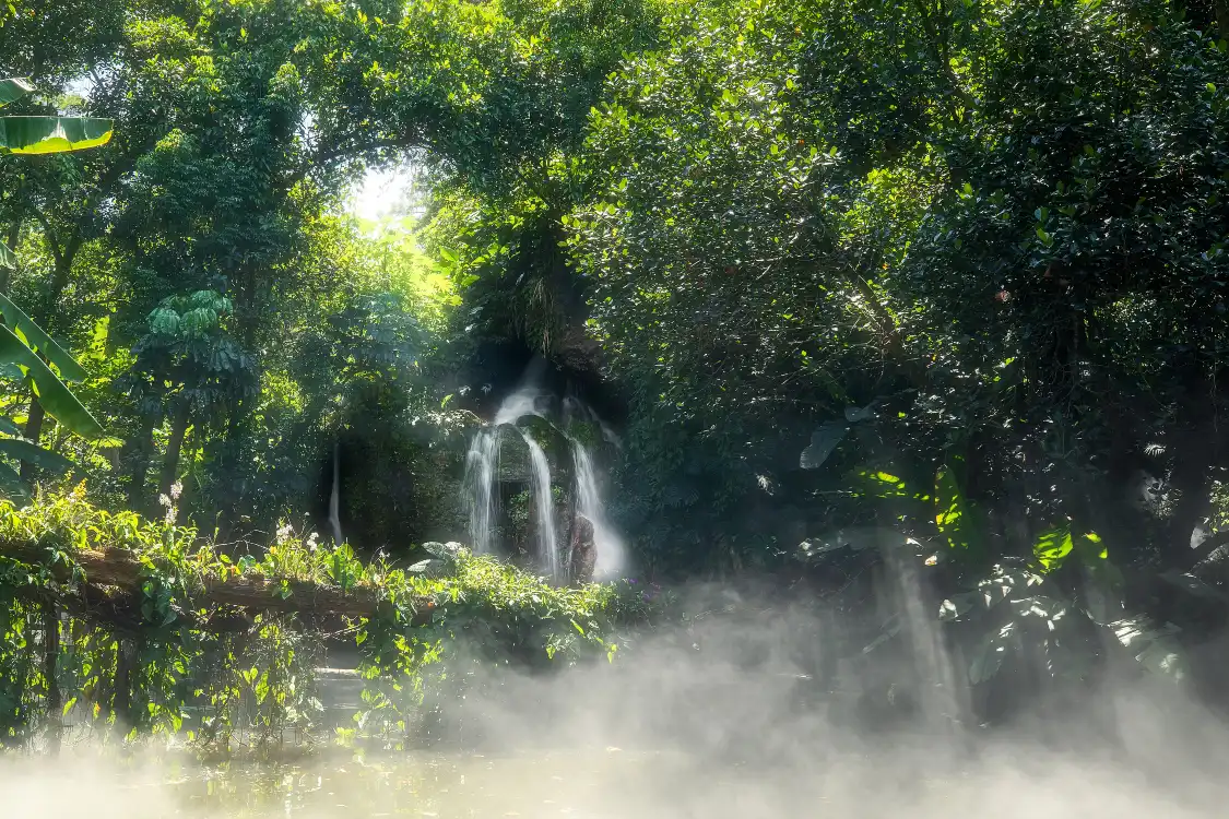 Hotels near Xiamen Botanical Garden