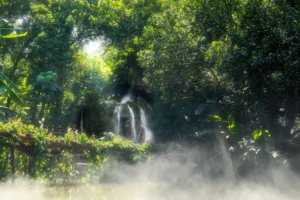 1_Xiamen Botanical Garden