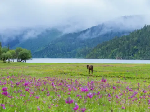 雲南普達措国家公園