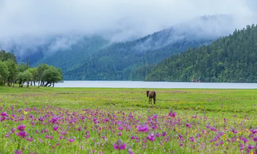 Putatso National Park