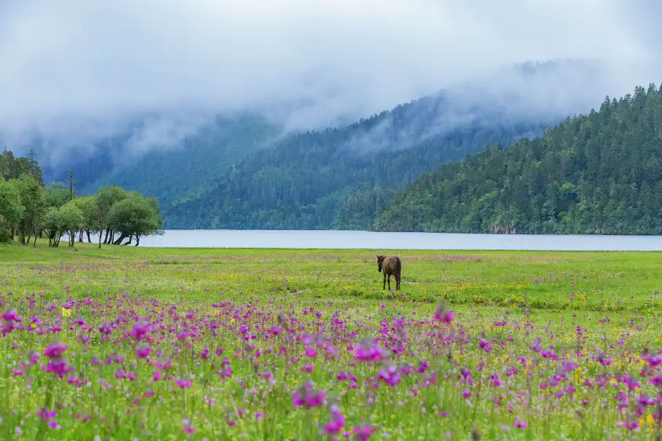 3_Potatso National Park