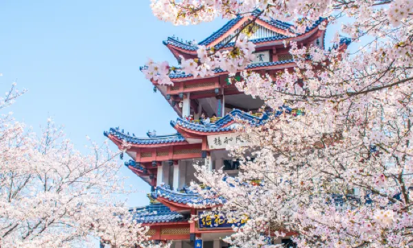 Tai Hu Yuantouzhu Scenic Spot