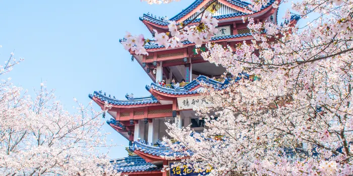 Tai Hu Yuantouzhu Scenic Spot image 1