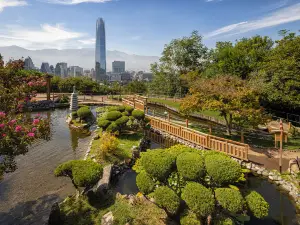 칠레의 인기 봄꽃 명소