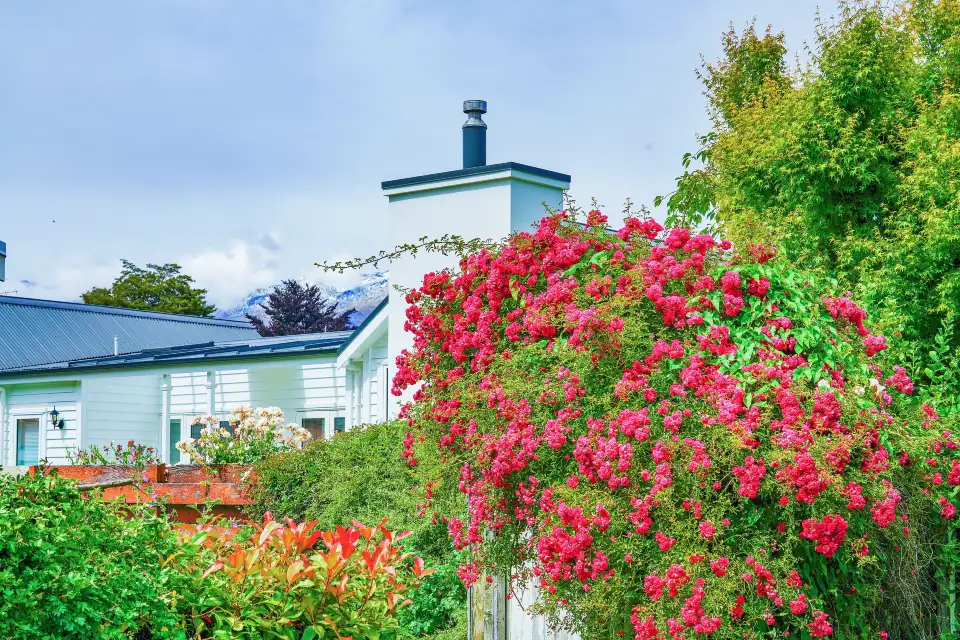 5_Arrowtown