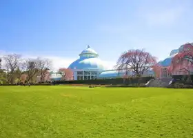 紐約植物園