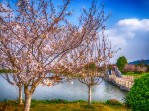 พื้นที่ท่องเที่ยวทะเลสาปหยุนหลง