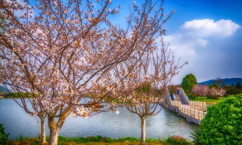 Xuzhou Yunlong Lake Tourist Area