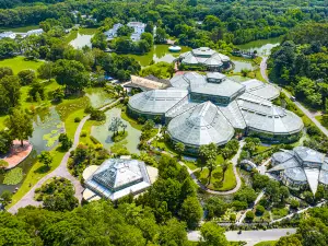 South China Botanical Garden，Cas