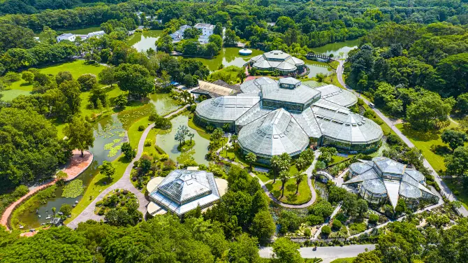 1_South China Botanical Garden，Cas