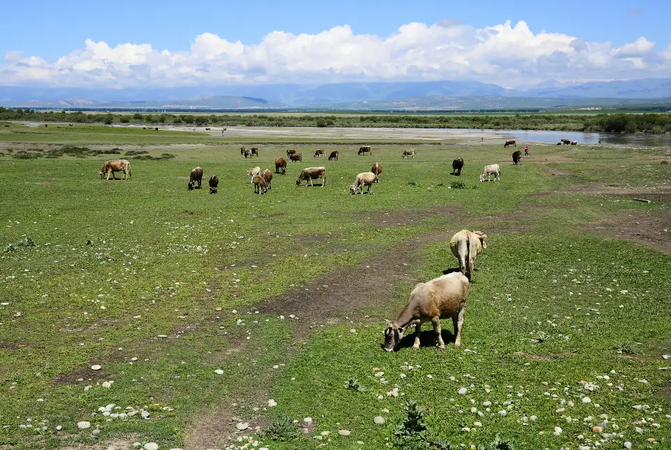 3_Zhaosu Wetland Park Scenic Area