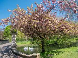 Regent's Park