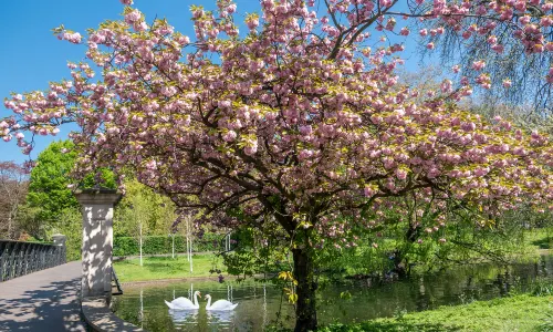 The Regent's Park
