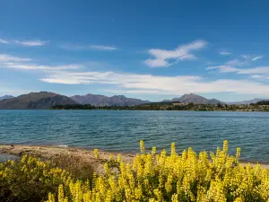 Lake Wānaka
