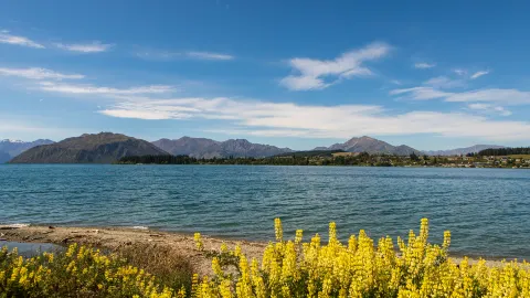 Lake Wānaka attraction in Otago