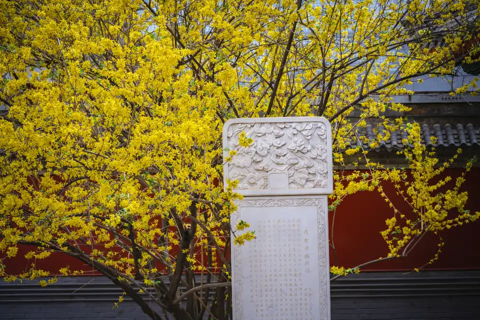 3_Jietai Temple