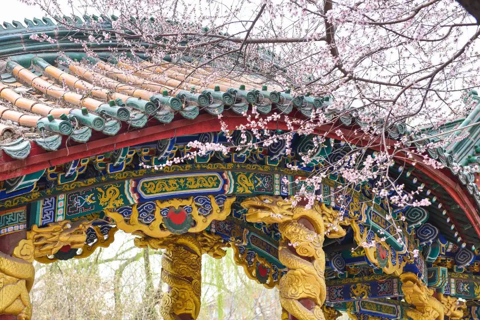 3_Longtan Park
