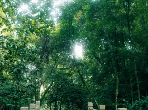 สวนสาธารณะแห่งชาติเหลียงเฟงเจียง