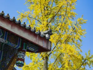 Dafochan Temple