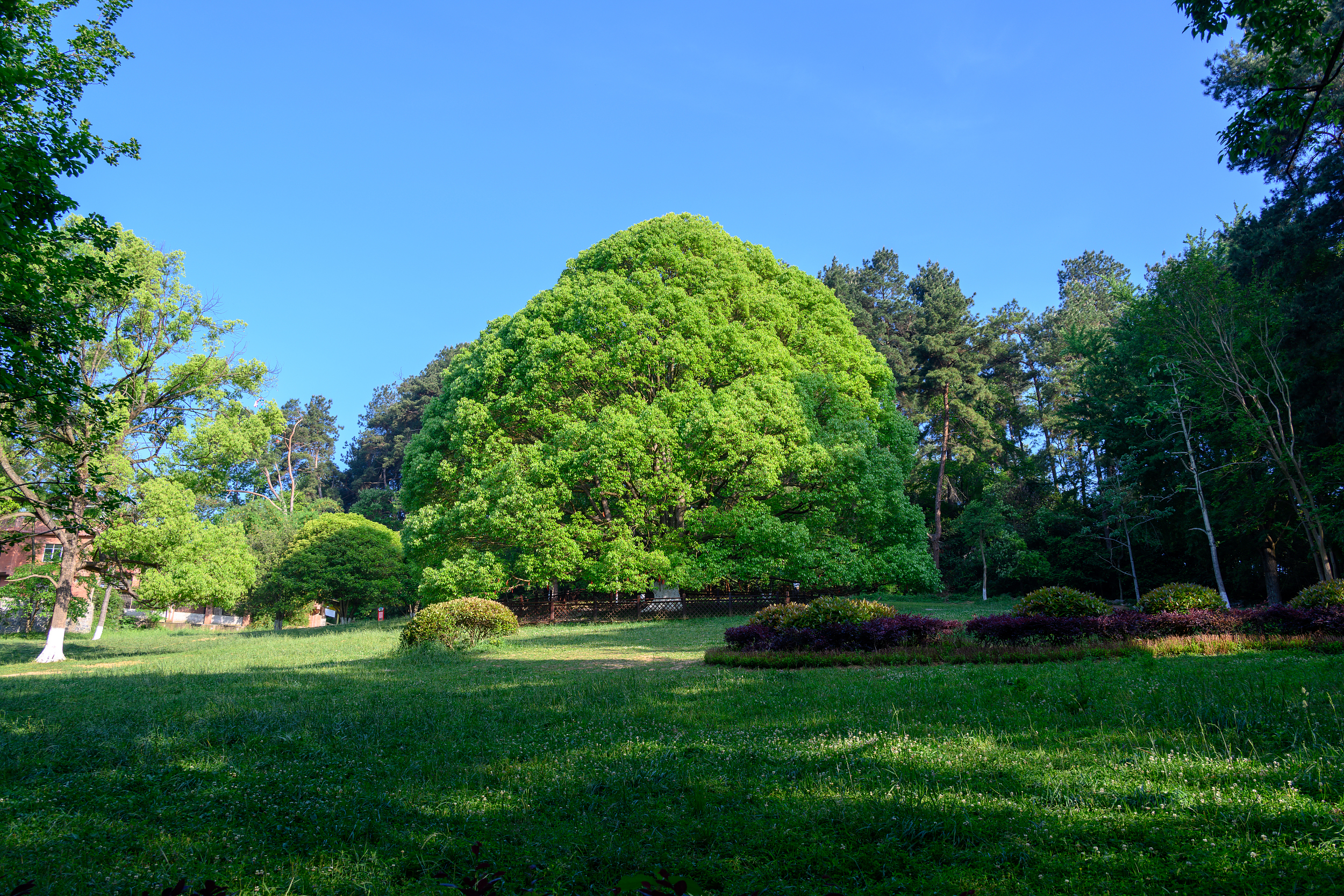 貴陽森林公園