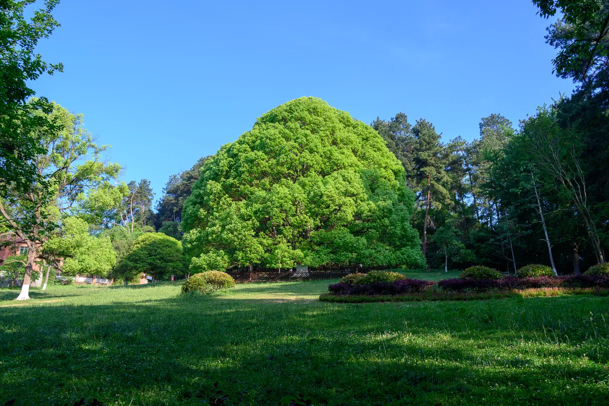 2_Guiyang Forest Park