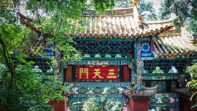 鄰近金殿名勝區的酒店