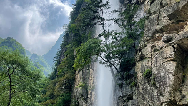 Taibai Qingfengxia Forest Park