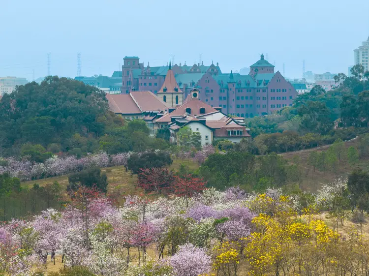 東莞 10 大踏青走春地