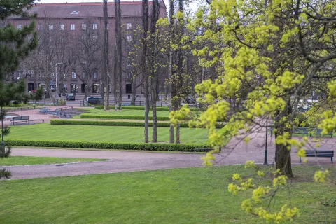 Parc Sibelius
