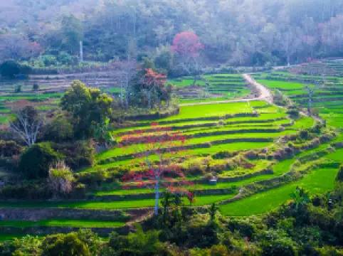 บะวังหลิง