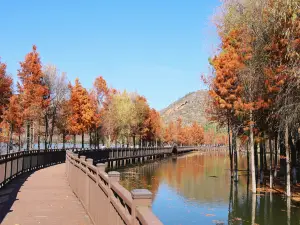洱源県の人気紅葉の名所