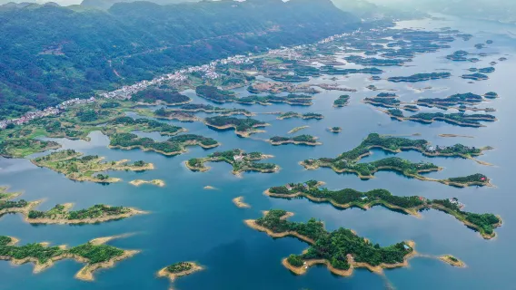 玩水避暑