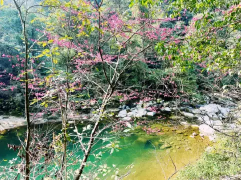 Shen Nong Gu National Forest Park